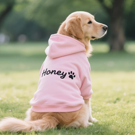 https://jomalls.oss-cn-hangzhou.aliyuncs.com/console/product/2607/20/xmgoqh-w14hfsr-mrsuxyef.jpg