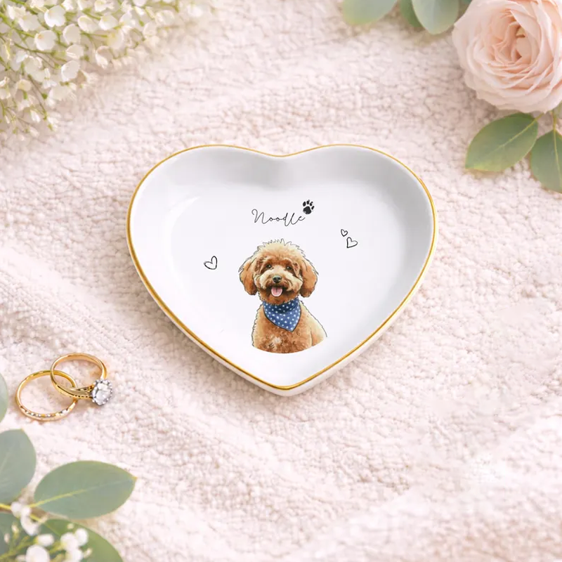 https://jomalls.oss-cn-hangzhou.aliyuncs.com/console/product/2606/15/10tf9ny-2gkxbgr-mqf298j8.png