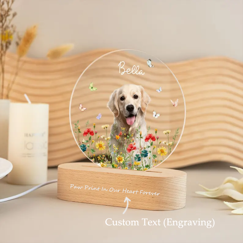 Personalized Pet Photo Memorial Night Light: Dog Cat Loss Sympathy Gift