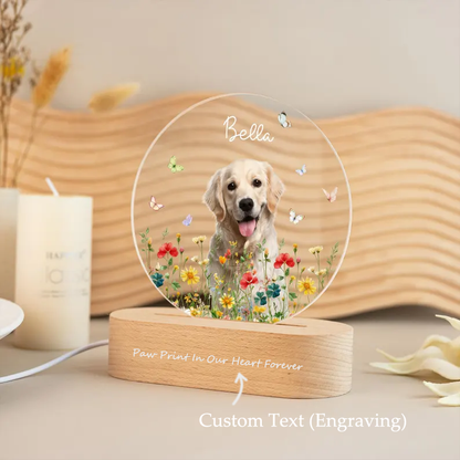 Personalized Pet Photo Memorial Night Light: Dog Cat Loss Sympathy Gift
