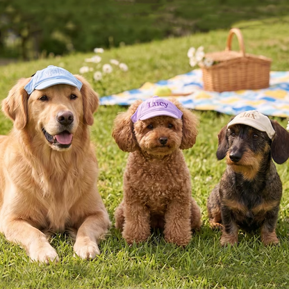 Custom Dog Hat with Embroidered Name,Pet Baseball Cap with Ear Holes,Sun Protection Dog Visor,Pet Accessories for Dogs