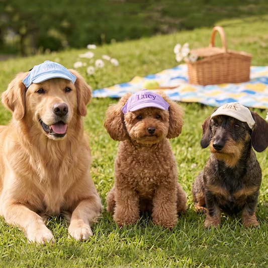 Custom Dog Hat with Embroidered Name,Pet Baseball Cap with Ear Holes,Sun Protection Dog Visor,Pet Accessories for Dogs