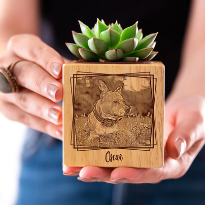https://jomalls.oss-cn-hangzhou.aliyuncs.com/console/product/2606/17/1cvwrpj-ev916er-mqhsi25b.png