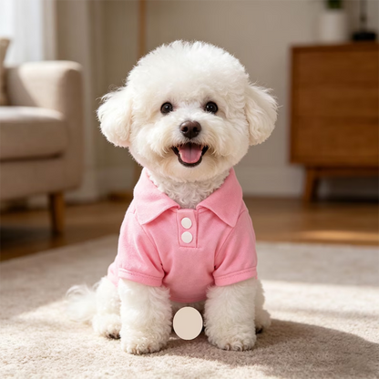 https://jomalls.oss-cn-hangzhou.aliyuncs.com/console/product/2607/22/1dfa0mk-nfew4wr-mrvk0orn.png