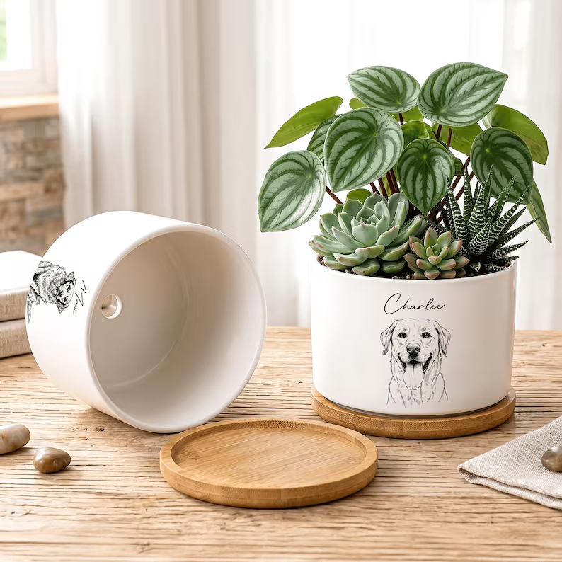 https://jomalls.oss-cn-hangzhou.aliyuncs.com/console/product/2606/17/1e4nbx8-spn1lxr-mqhqwg8y.png