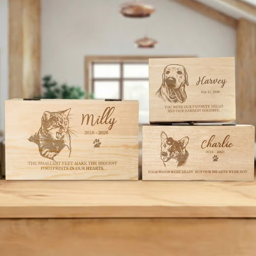 https://jomalls.oss-cn-hangzhou.aliyuncs.com/console/product/2606/22/1g5p44c-m7p1rqr-mqoxzz0d.png