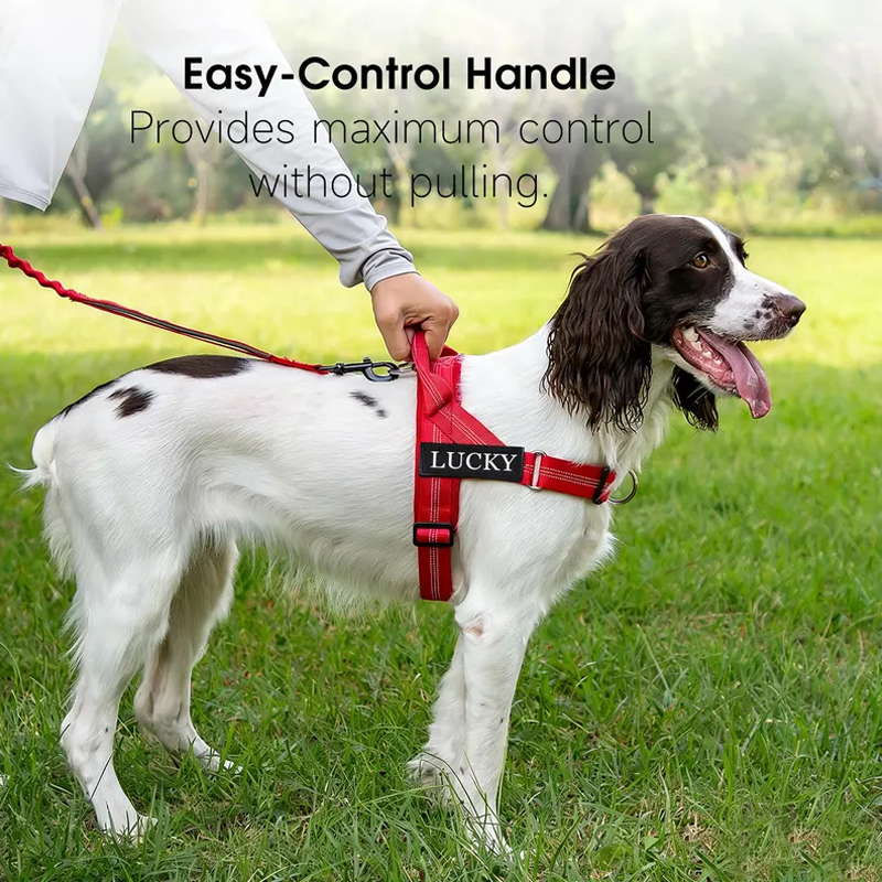 https://jomalls.oss-cn-hangzhou.aliyuncs.com/console/product/2606/17/1nh3n93-h52gxgr-mqhxr8lx.png