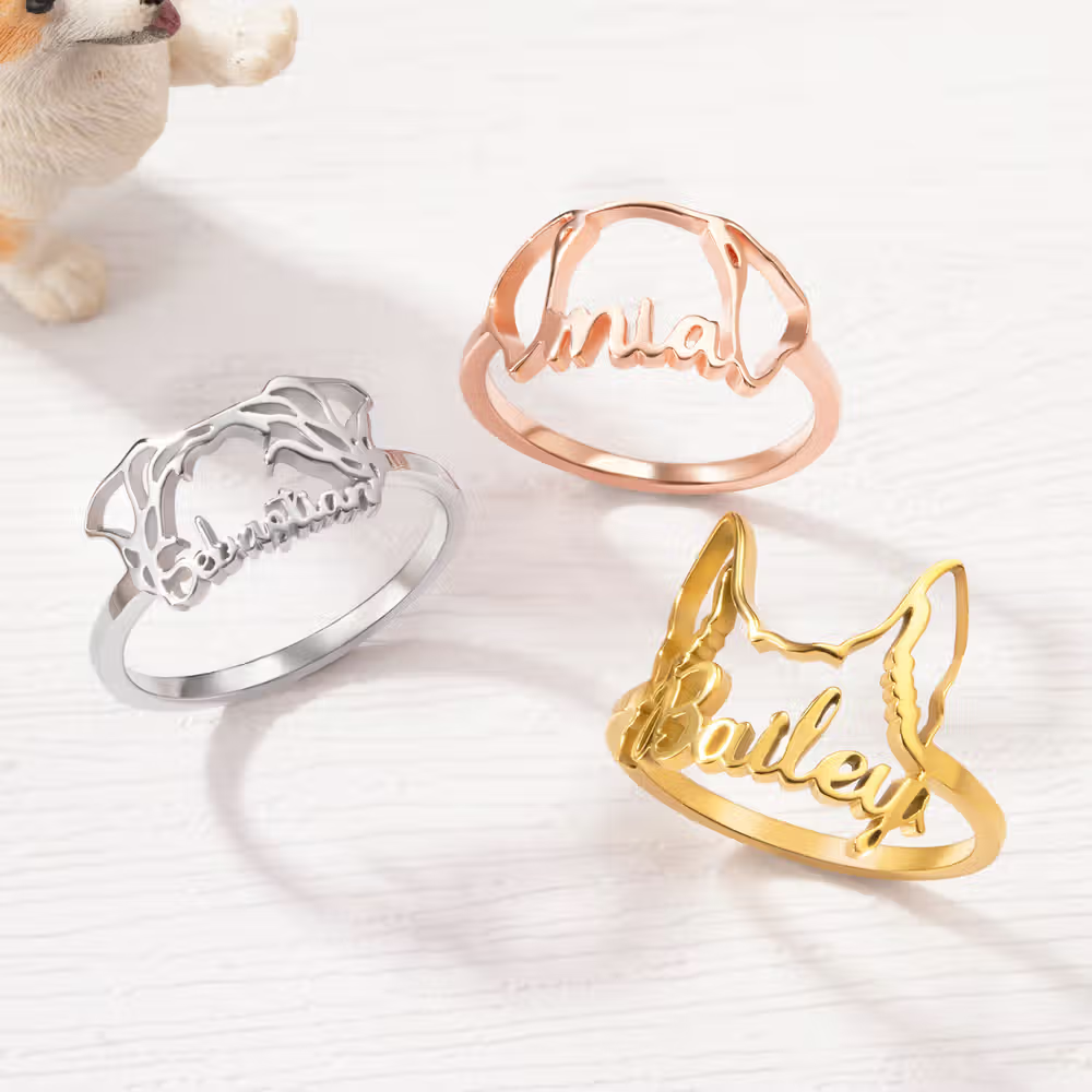 https://jomalls.oss-cn-hangzhou.aliyuncs.com/console/product/2606/17/1nibl2d-3px24xr-mqhjt84q.png