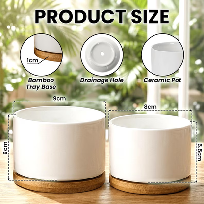 https://jomalls.oss-cn-hangzhou.aliyuncs.com/console/product/2606/17/1r3cjud-eukrwur-mqhr3rfw.png