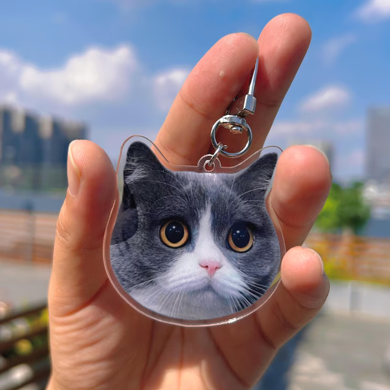 https://jomalls.oss-cn-hangzhou.aliyuncs.com/console/product/2606/10/1vmd4qg-1bgwf6r-mq7vmlla.png