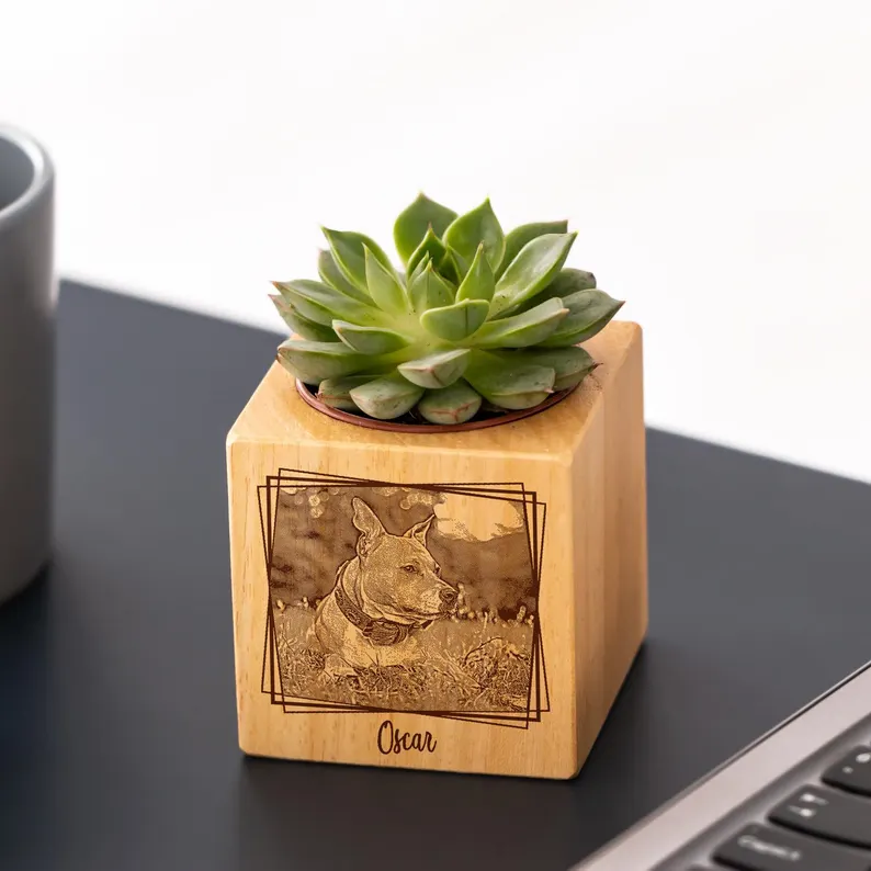 https://jomalls.oss-cn-hangzhou.aliyuncs.com/console/product/2606/17/1w5wcz8-zi5osir-mqhsi2t4.png