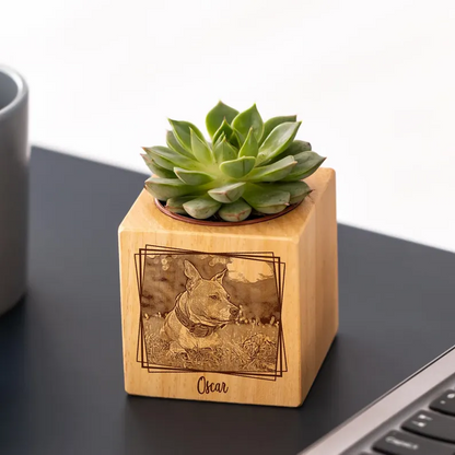 https://jomalls.oss-cn-hangzhou.aliyuncs.com/console/product/2606/17/1w5wcz8-zi5osir-mqhsi2t4.png
