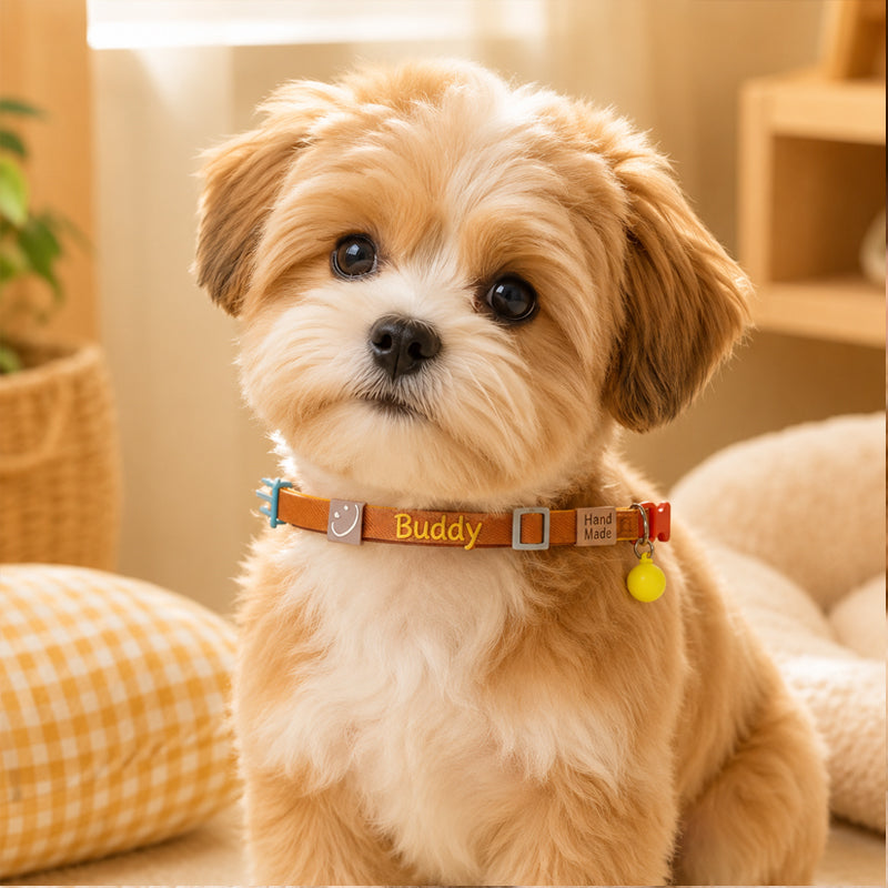 Custom Pet Collar, High Elastic Adjustable Dog Collar Decorative Cat Necklace