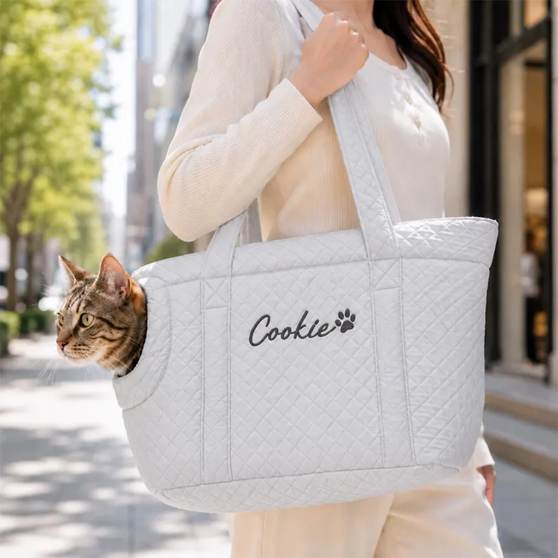 https://jomalls.oss-cn-hangzhou.aliyuncs.com/console/product/2608/07/24pev4-l5qavcr-msiqhyly.png