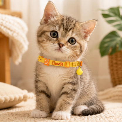 Custom Pet Collar, High Elastic Adjustable Dog Collar Decorative Cat Necklace