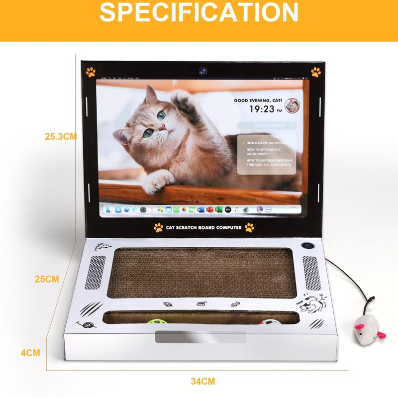 https://jomalls.oss-cn-hangzhou.aliyuncs.com/console/product/2607/30/73w19m-6enlyzr-ms79atpv.png
