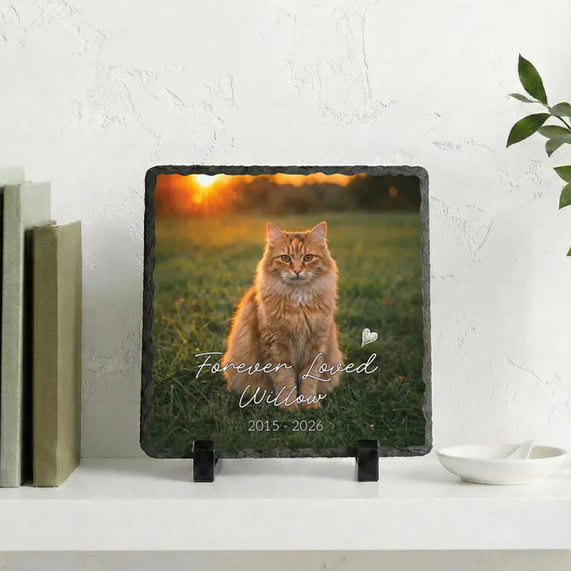 https://jomalls.oss-cn-hangzhou.aliyuncs.com/console/product/2606/22/7g1ogd-3f1zncr-mqp447j7.png