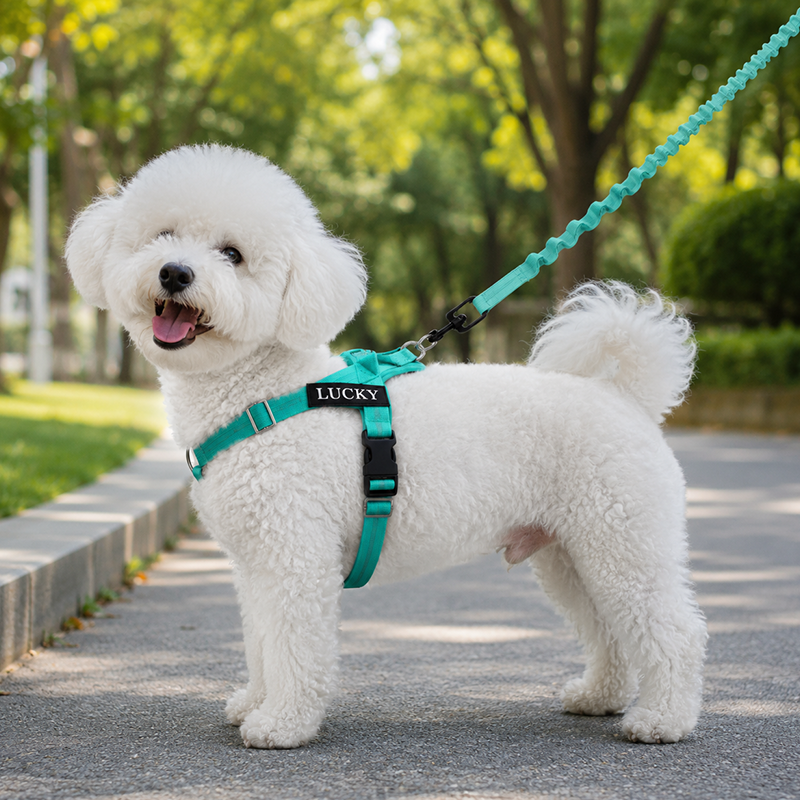 https://jomalls.oss-cn-hangzhou.aliyuncs.com/console/product/2606/17/7g1ogd-xxu321r-mqhxr7yi.png