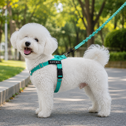 https://jomalls.oss-cn-hangzhou.aliyuncs.com/console/product/2606/17/7g1ogd-xxu321r-mqhxr7yi.png