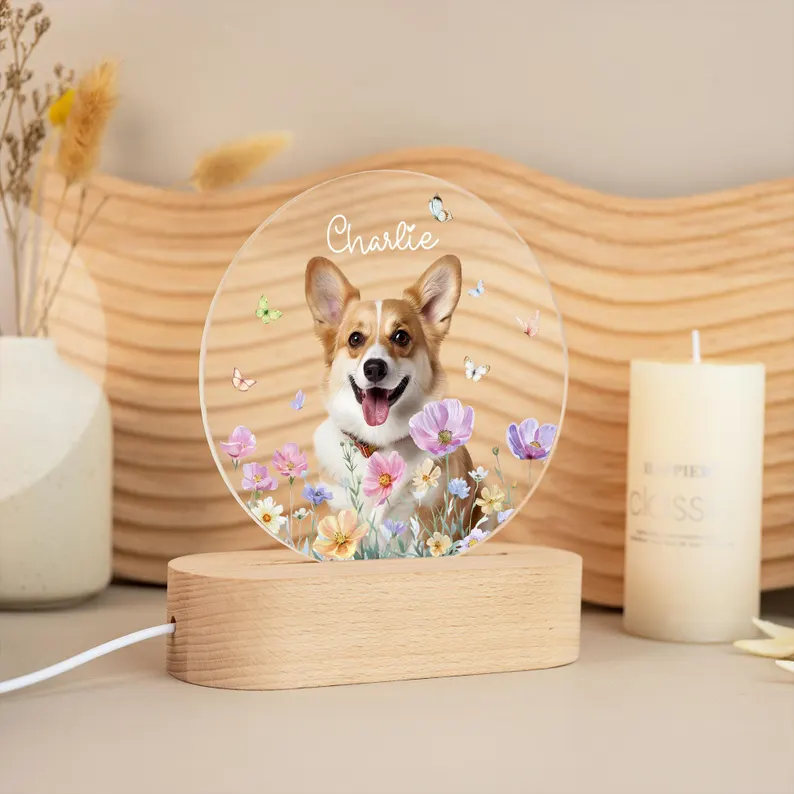 https://jomalls.oss-cn-hangzhou.aliyuncs.com/console/product/2605/28/7rk71t-yf4azpr-mpp8b7nh.png