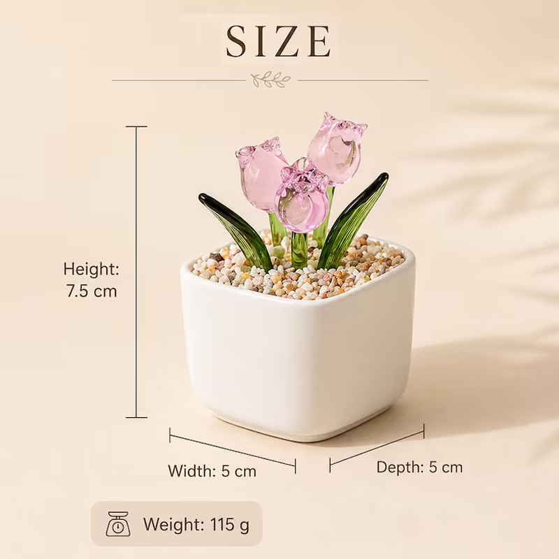https://jomalls.oss-cn-hangzhou.aliyuncs.com/console/product/2606/23/88vcpg-1ey1txr-mqqdlikf.png