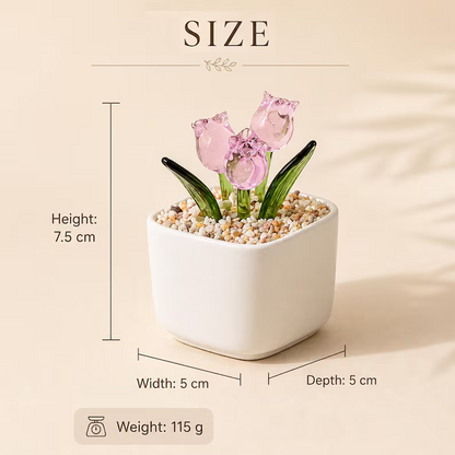 https://jomalls.oss-cn-hangzhou.aliyuncs.com/console/product/2606/23/88vcpg-1ey1txr-mqqdlikf.png