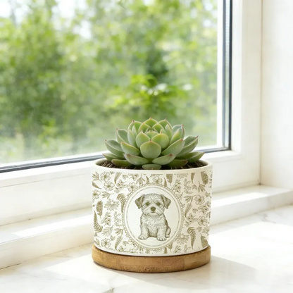 https://jomalls.oss-cn-hangzhou.aliyuncs.com/console/product/2606/17/9wxfdt-e435kr-mqhohb7t.png