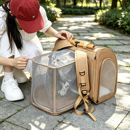 https://jomalls.oss-cn-hangzhou.aliyuncs.com/console/product/2607/29/f8wbr0-jmkzzr-ms5w0xjj.jpg