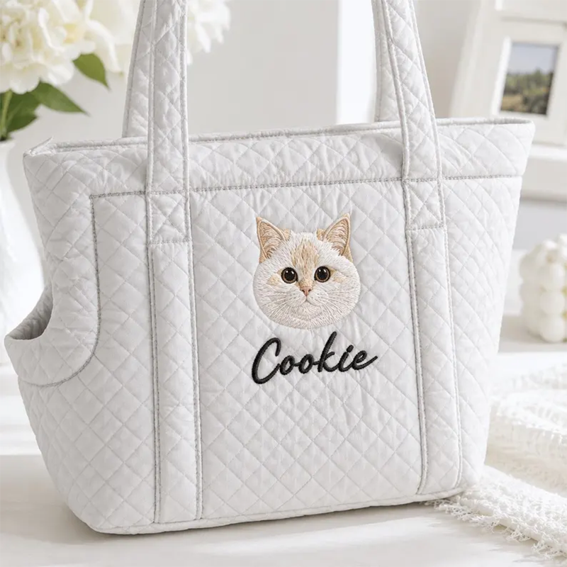 https://jomalls.oss-cn-hangzhou.aliyuncs.com/console/product/2608/07/iirw1a-bxbzfgr-msiqhz5n.png