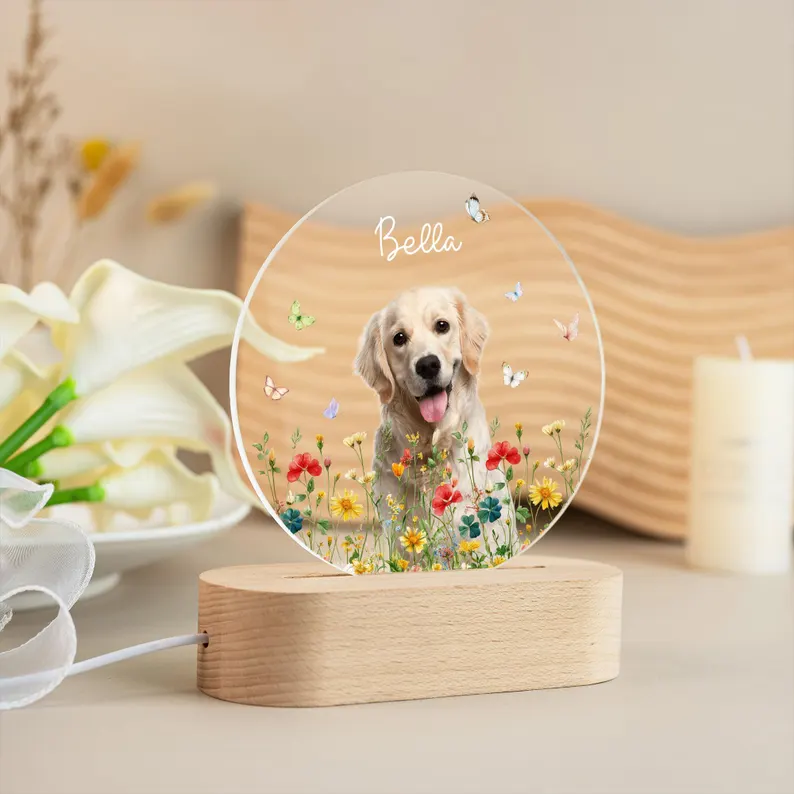 https://jomalls.oss-cn-hangzhou.aliyuncs.com/console/product/2605/28/irhtn4-s5hm9rr-mpp8b7mw.png