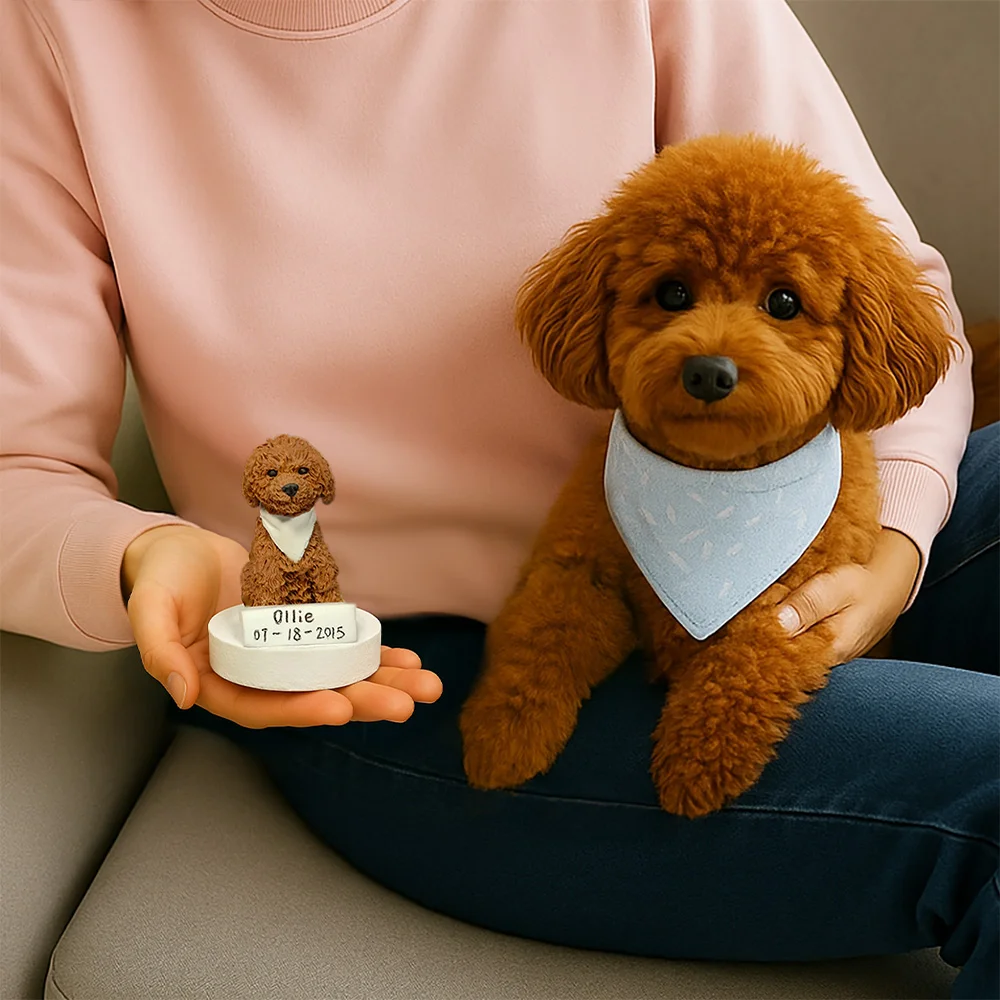 https://jomalls.oss-cn-hangzhou.aliyuncs.com/console/product/2604/02/ks5b89-q7wnxdr-mnhavn7z.png