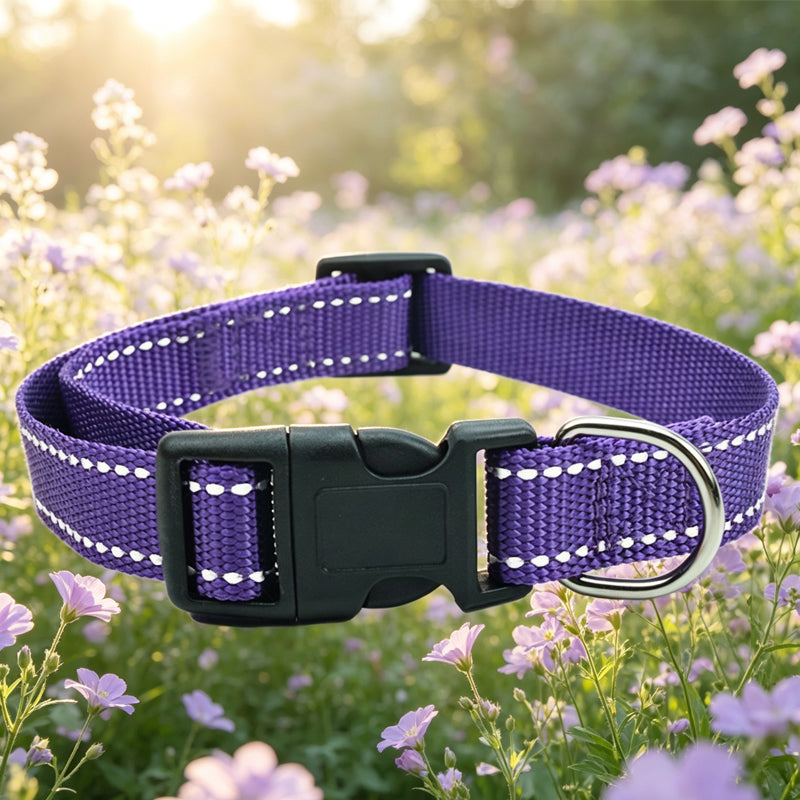 https://jomalls.oss-cn-hangzhou.aliyuncs.com/console/product/2607/21/ldmhnv-a3wdpyr-mruazqed.jpg
