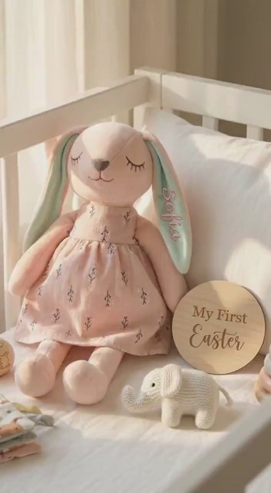 Custom Name Plush Rabbit, Nursery Rabbit Doll With Name, Matching Personalized Bunnies, Plush Bunny Set, Customizable Twin Gift Bunnies