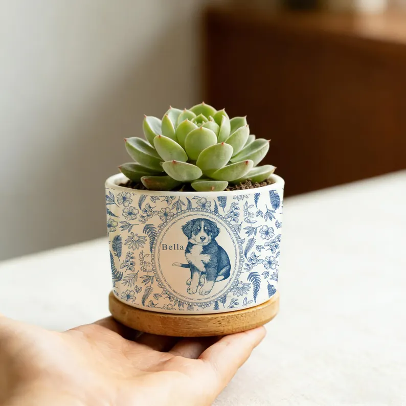 https://jomalls.oss-cn-hangzhou.aliyuncs.com/console/product/2606/17/v00rub-tvi8djr-mqhohb7s.png