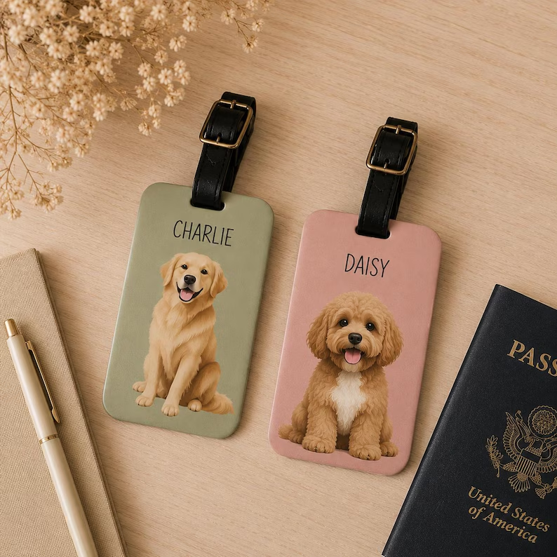 https://jomalls.oss-cn-hangzhou.aliyuncs.com/console/product/2606/22/vhkhid-xqy9tnr-mqowywdl.png